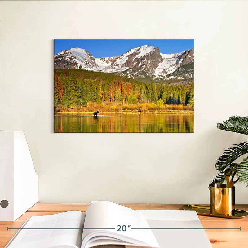 Moose Alvord Lake, Lakeside Moutains, H 8 po x l 12 po