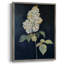«FLORAL Series CLxxvi», reproduction encadrée - bois massif-278602381