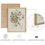 "Modern Morning Glory-101825603-101825605