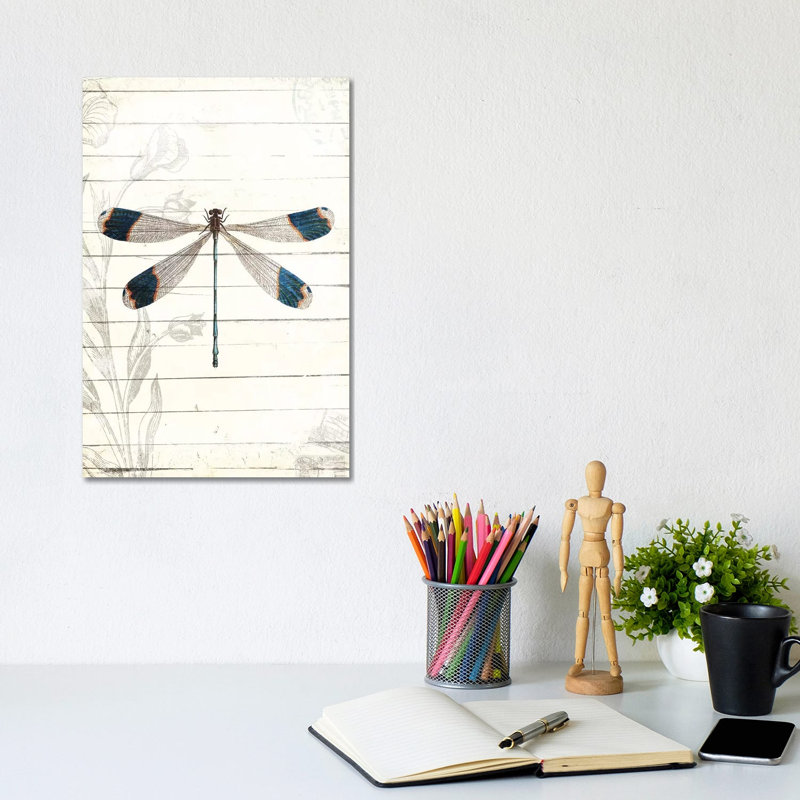 Dragonfly Look by Milli Villa - Wrapped Canvas Print, 20.32 cm H x 30.48 cm W