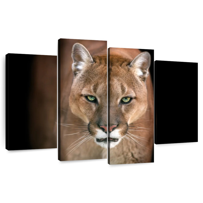 Brampt Fierce Puma, 48'' H x 75'' W