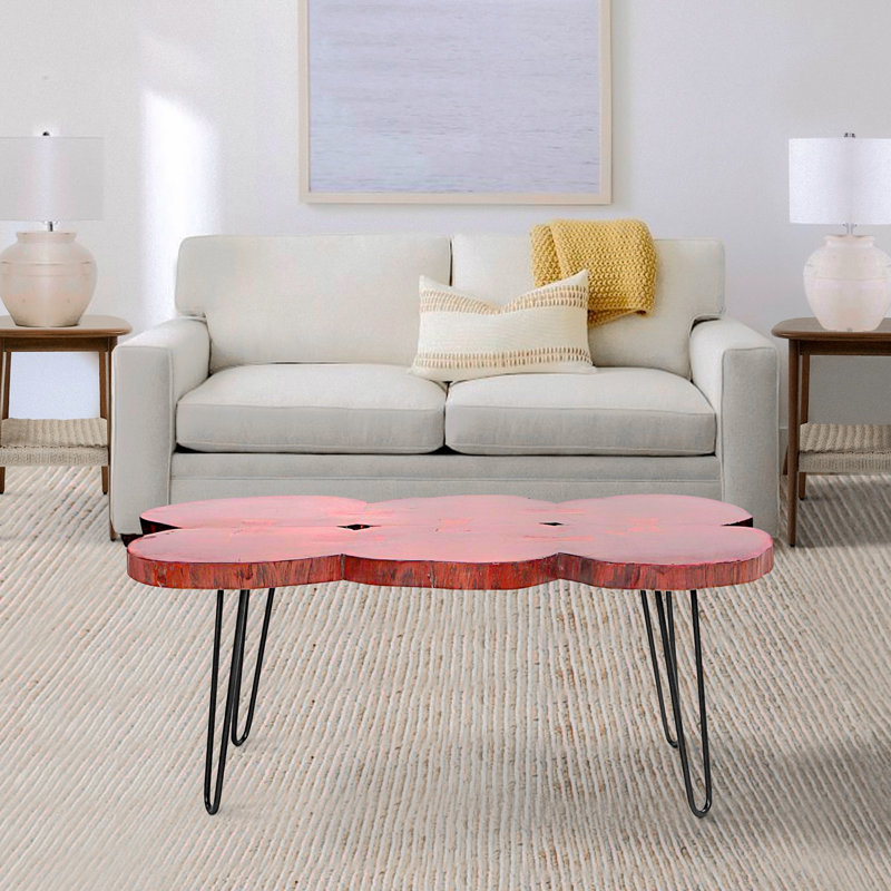 Arshpreet Table basse Table basse Table rectangulaire Table centrale Table basse rustique