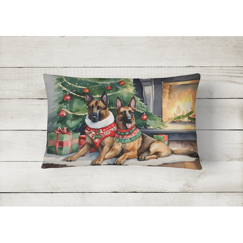 Other/No Pattern Outdoor Throw Pillow