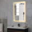 Miroir de salle de bain mural lumineux 23,62 x 31,5 po, antibuée, DEL et commandes tactiles, idéal pour les salles de bain d'hôtels et d'appartements.-1276929338