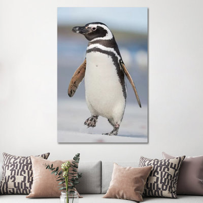 Magellanic Penguin, Falkland Islands. by Martin Zwick - Wrapped Canvas Print
