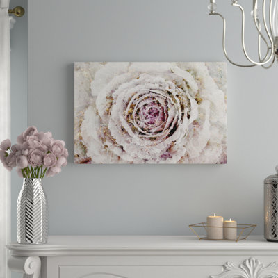 " Winter New York Flower "