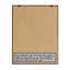 "Forest Friends XI" par Lisa audit, reproduction d’art sur toile encadrée