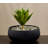 Finnur Handmade Pot Planter-1552980117-1552980106