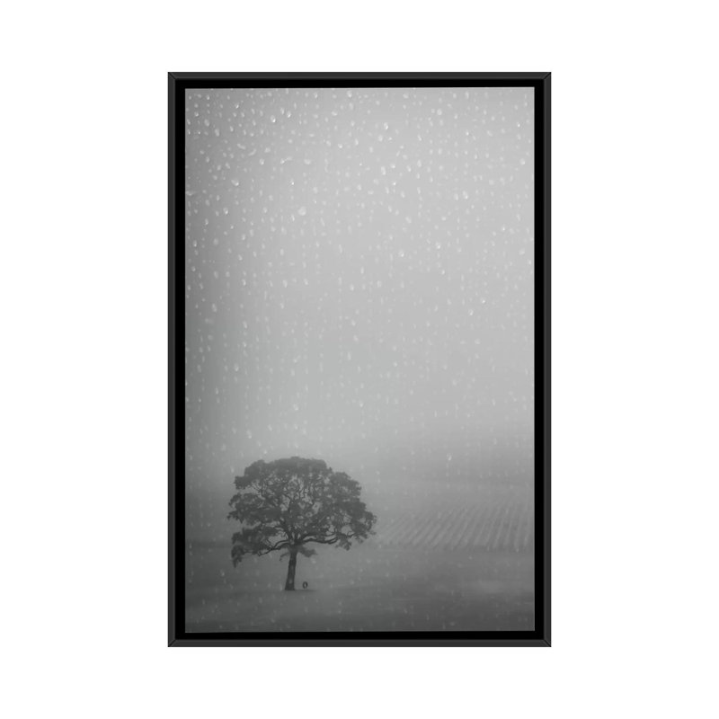 «Lone Oak in the Rain», impression sur toile, H 26 po x l 18 po x P 1,5 po, Toile avec cadre noir