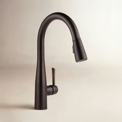 Essa Pull-Down Kitchen Faucet