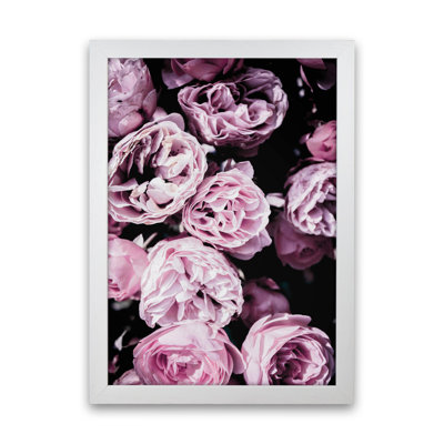 Pink Flowers II 1 Piece Wall Art