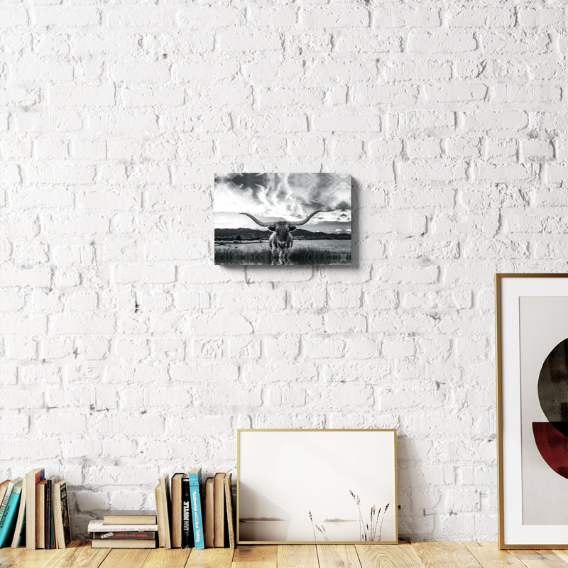 «Black and White Longhorn Cow I», photographie sur toile tendue, H 20 po x l 30 po, Toile avec cadre érable, Noir