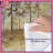 Misty Forest Landscape Comforter-125233368