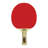 Cyclone Paddle-2067429