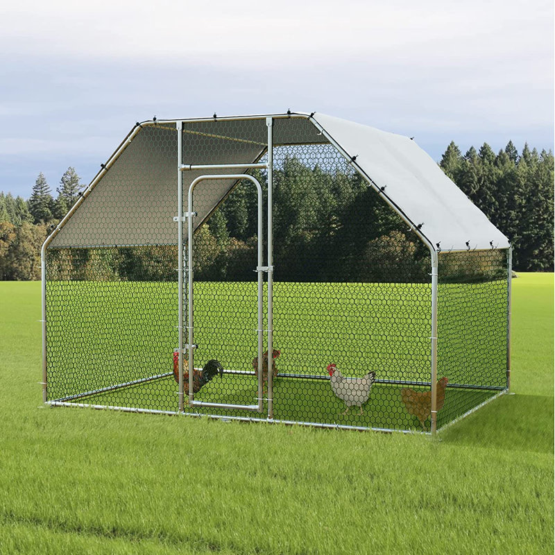 Poulailler avec grillage Brightling, H 75,6 po x l 112,8 po x P 73,2 po