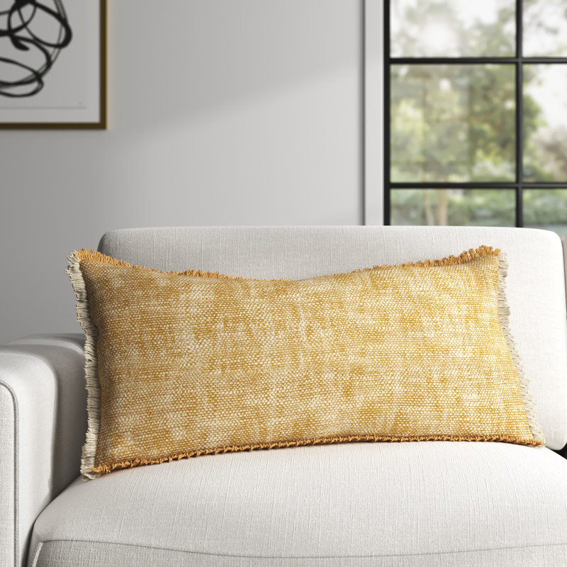 Picture Idea: Joss Main Gomer Fringed Throw Pillow Reviews