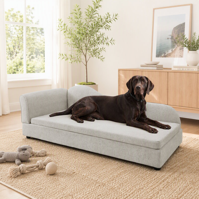 Canapé surdimensionné pour animaux de compagnie pour chiens de taille moyenne / grande - Dossier moderne à vagues irrégulières, accoudoir simple, tissu en lin respirant de qualité supérieure, coussin moelleux et pieds en plastique bas