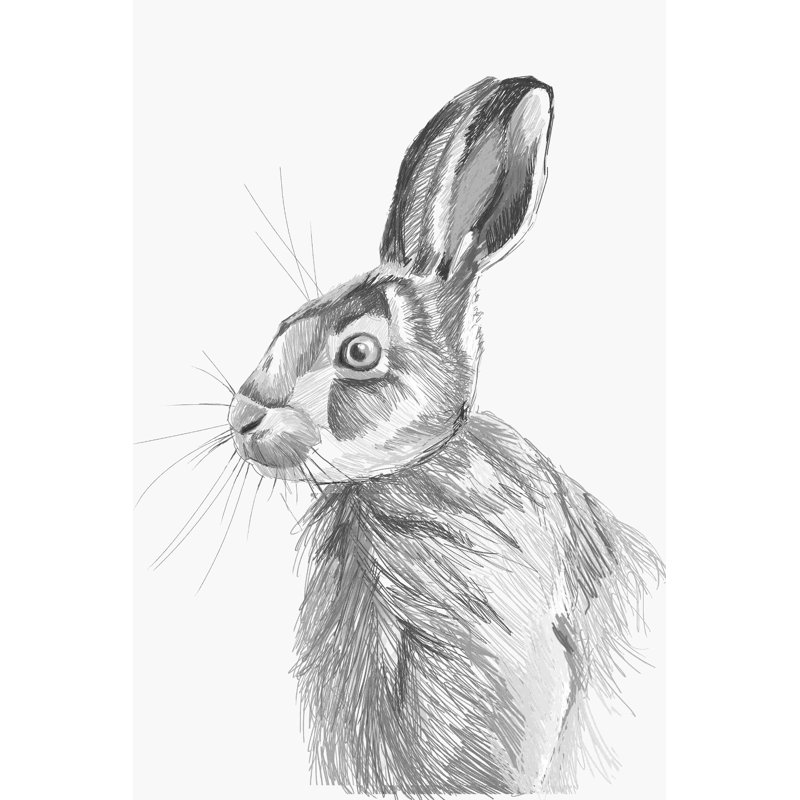 Hare - Reproduction de dessin sur toile tendue, H 36 po x l 24 po