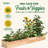 Kendriana Wood Raised Garden Bed-807390884