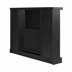 Faux Black Plaster