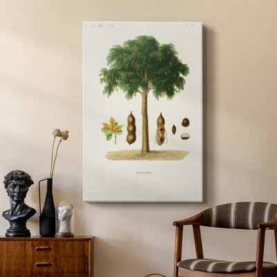 Arbre antique avec fruit et galerie Cavas sur mesure