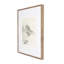 Land Sketch 2 Print by Dan Hobday-1773624009