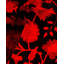 Fine Vibrance One-of-a-Kind 3' 1" X 5' 0" Hand Knotted Area Rug
