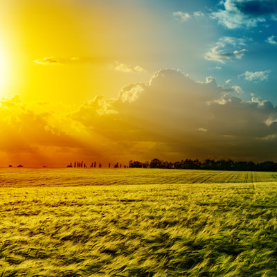 Bukovany Sunset Over Green Field - Wrapped Canvas Print