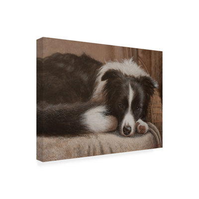 Border collie sur toile par John, reproduction argentique