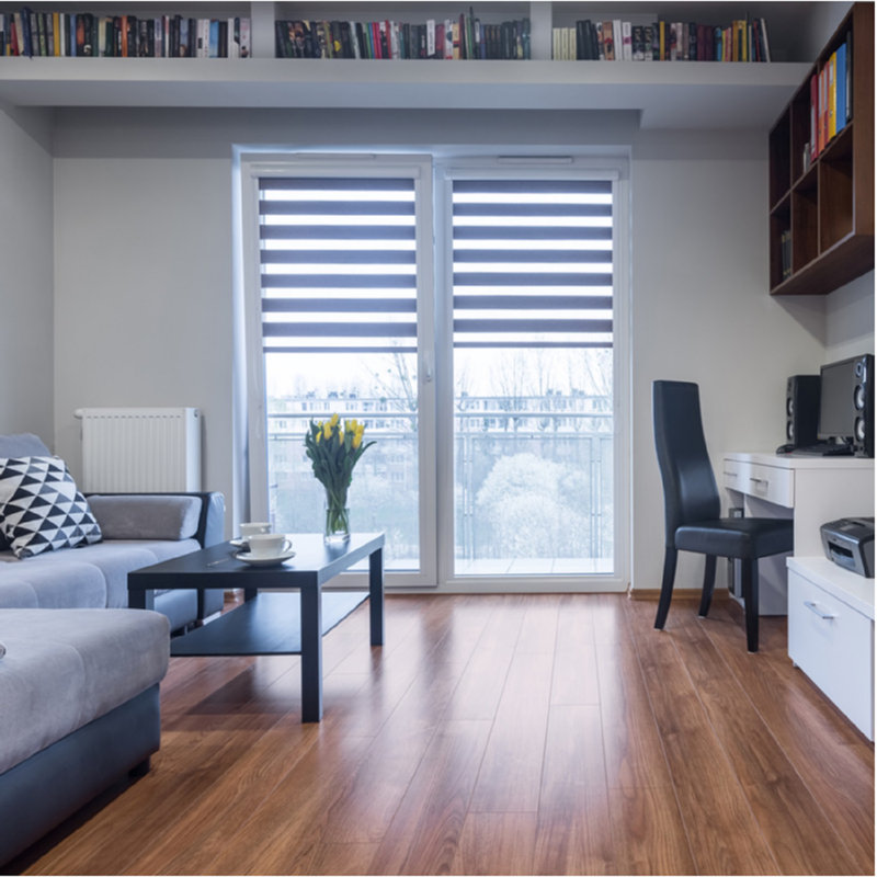 Zebra Day and Night Roller Blinds, Dual Layer Window Shades with Adjustable Light Control and Privacy for Living Room, Bedroom and Office