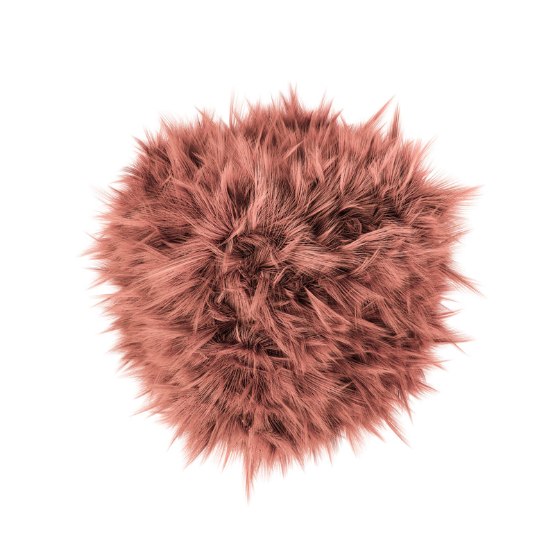 Ball Of Fur by Homeworks255 - Wrapped Canvas Print, 30cm H x 30cm W x 3.8cm D