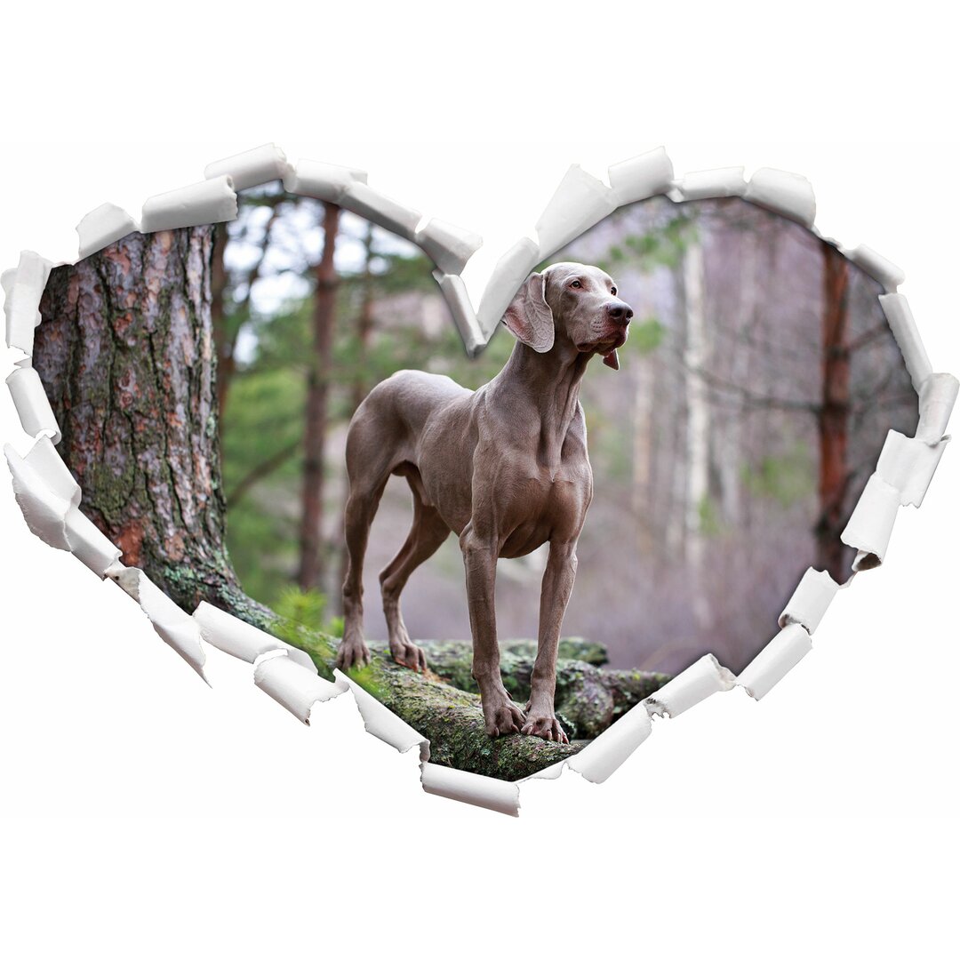 Wandtattoo Edler Weimaraner im Wald