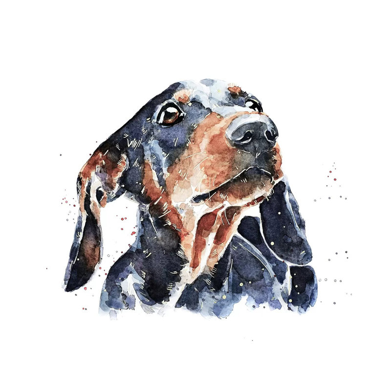 Teckel noir et brun clair par Edwatercolours-impression, Pas de tapis, Toile tendue, H 12 po x l 12 po x P 0,75 po