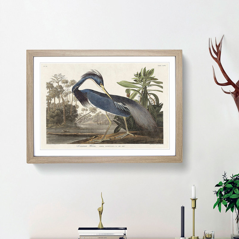 Louisiana Heron by John Audubon - Picture Frame Painting Print on MDF, 27cm H x 36cm W x 2cm D, Oak Framed
