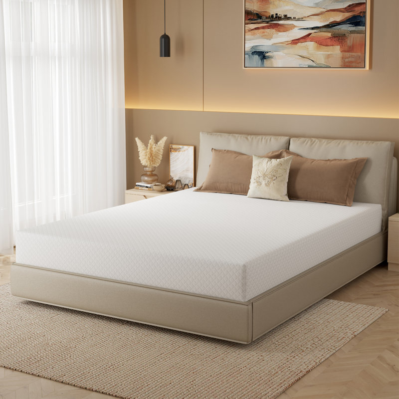Rodrigue Medium Gel Memory Foam Mattress in a Box Infused with Green Tea,  , 12"