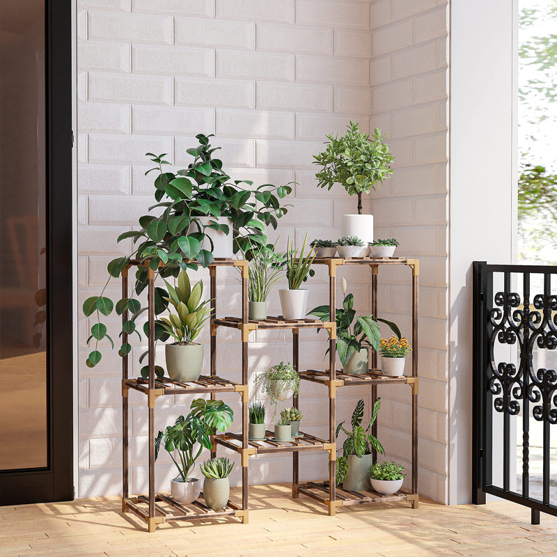 Support pour plante d'intérieur et extérieur pour plantes multiples, support pour plante
