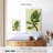 Harnek Front Yard Succulent III-108257232