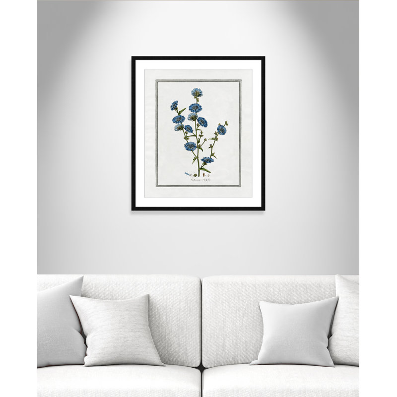 Colombe Soft Botanical I - Art encadré avec fond perdu, Cadre noir, L 21,5 po x H 25,5 po
