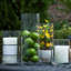 Vase en verre transparent-1654527079