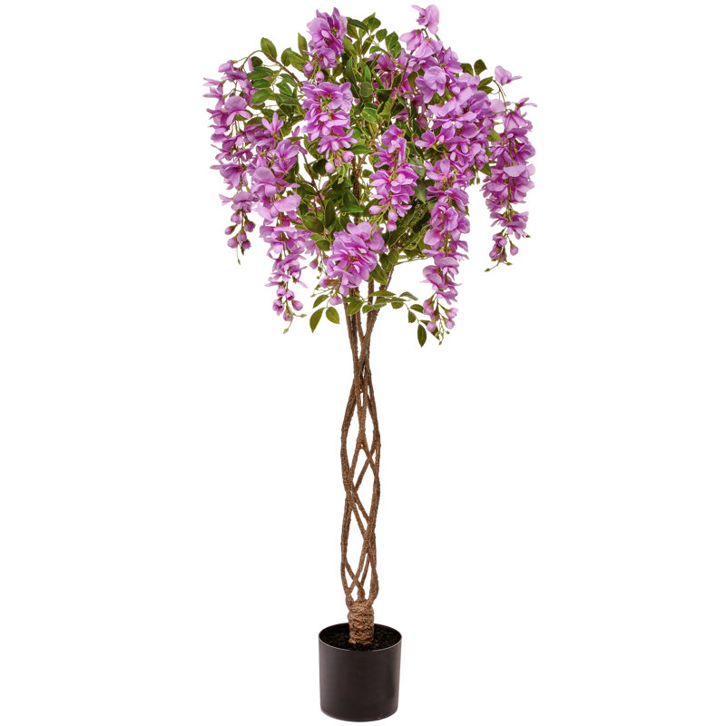 Arbre en pot 48 po Wisteria, Mauve
