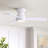 32'' Small Ceiling Fan With Light Kit & Remote-740172514-740172516