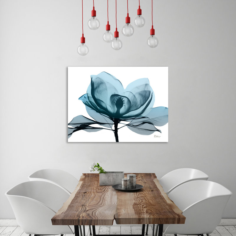 Midnight Magnolia 2 - Wrapped Canvas Print, 30 cm H x 41 cm W