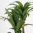 Faux 59'' Dracaena Tree