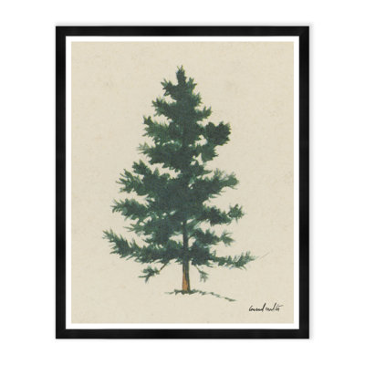 Evergreen Print