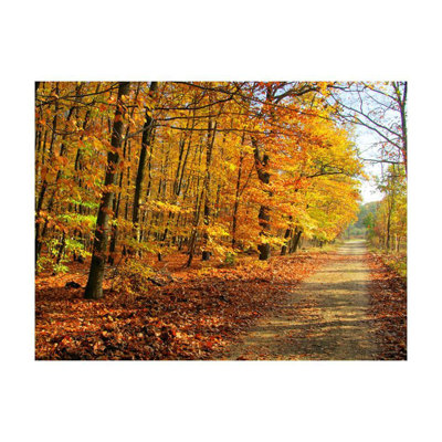 Murale forêt de hêtre Darcy-Louise