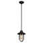 Luminaire suspendu en pot 1 lumière Glossop
