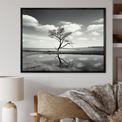 " Black And White Tree By The Lake Photography "