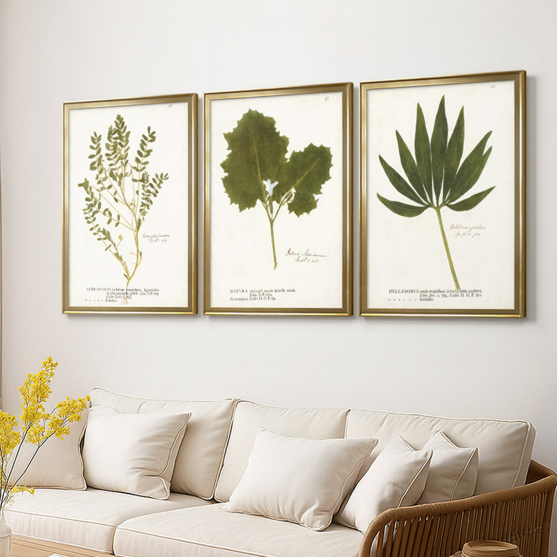 Nature imprimé fougères X - Toile tendue avec châssis sur mesure - 3 pièces, H 15 po x l 19 po, Doré