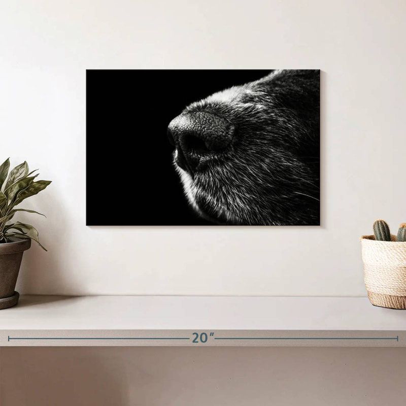 Brampt Dog's Nose, 8" H x 12" W