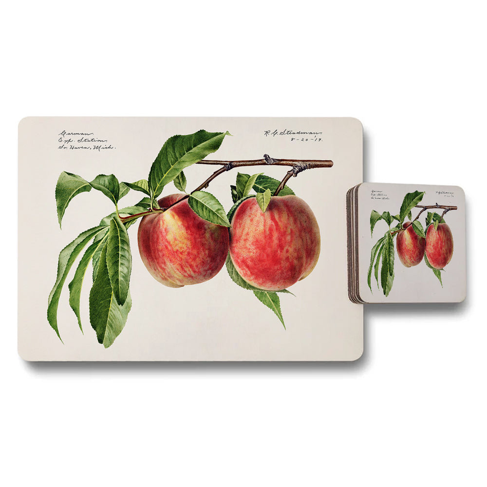 Vintage Apple Illustration Placemat And Coaster Set